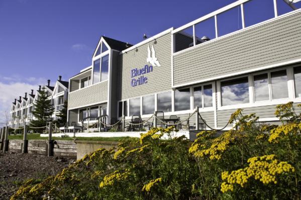 Bluefin Bay On Lake Superior Tofte Εξωτερικό φωτογραφία